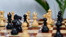 Full 34 piece Laughing Knight chess pieces in ebonised and natural boxwood, Sterling Chess Australia