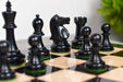 Fischer Spassky natural boxwood chess pieces, 34 pieces with two spare queens