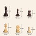 Mahogany Stained and Boxwood chessmen at 675 grams complete