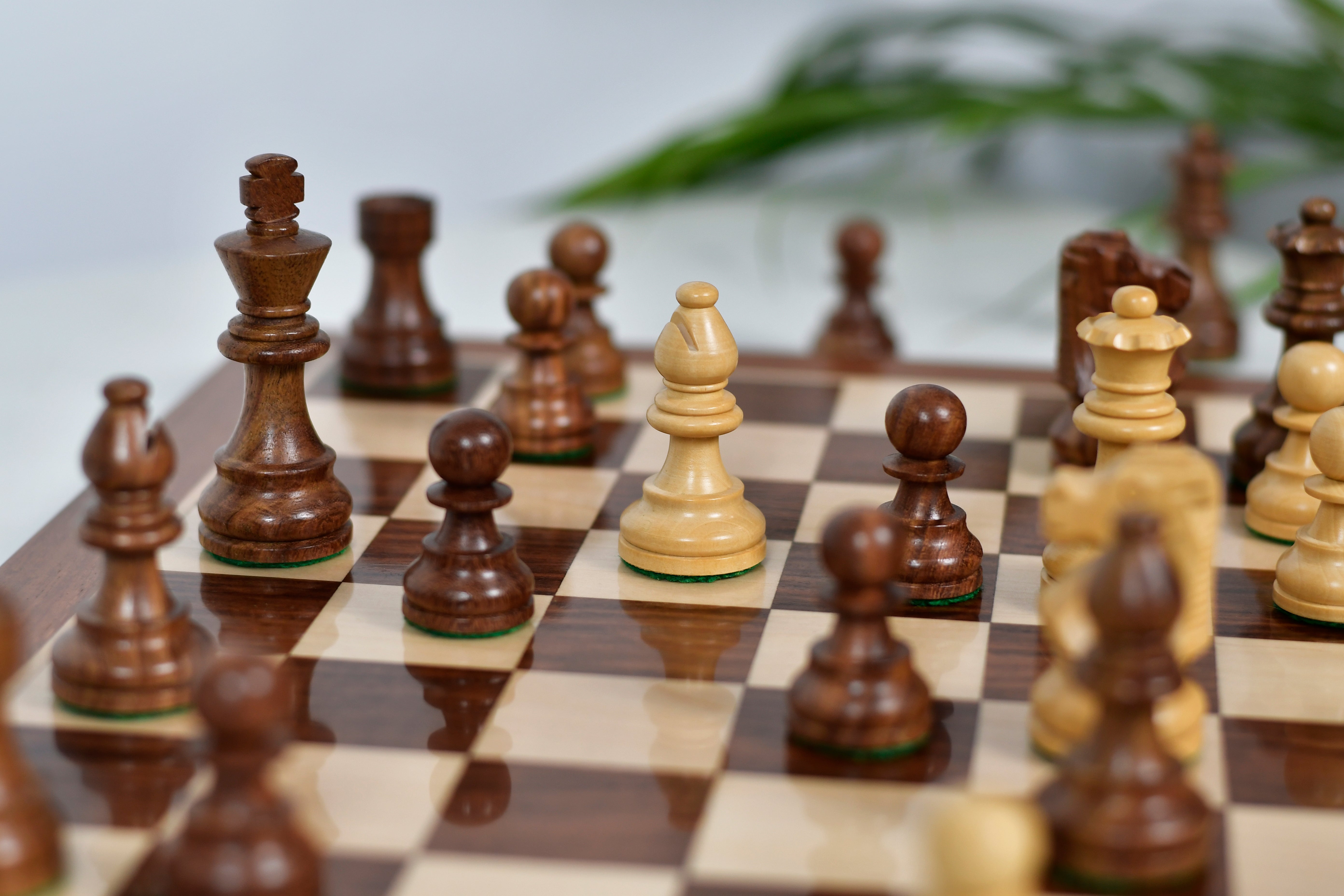 Full 34 piece French Lardy Compact chess pieces in sheesham and boxwood, Sterling Chess Australia