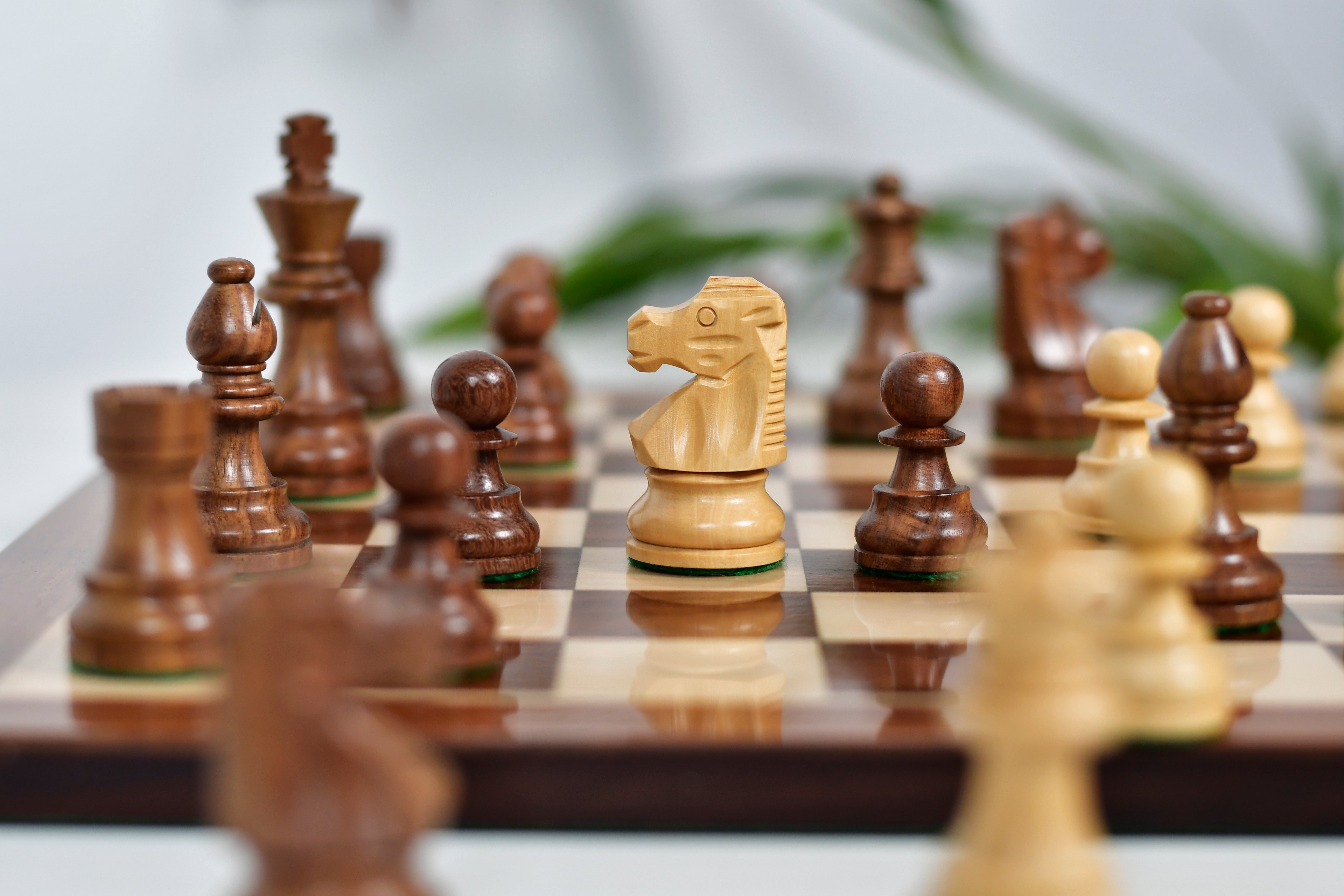 French Lardy Compact wooden chess pieces, 76mm king, Sheesham finish