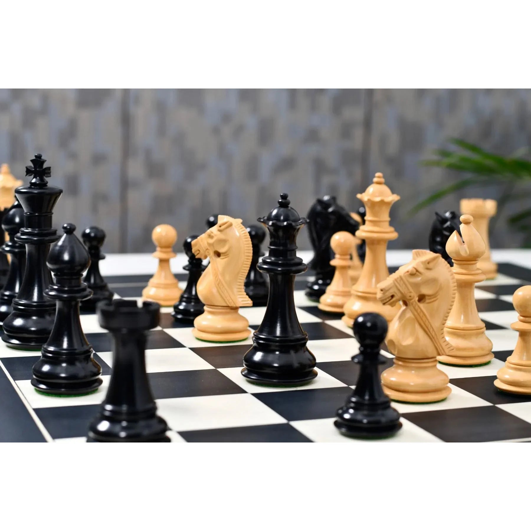 Chess Bazaar Bridle Series Chess Pieces (Ebony/Boxwood) With 60cm Black Anigre & Maple Chess Board