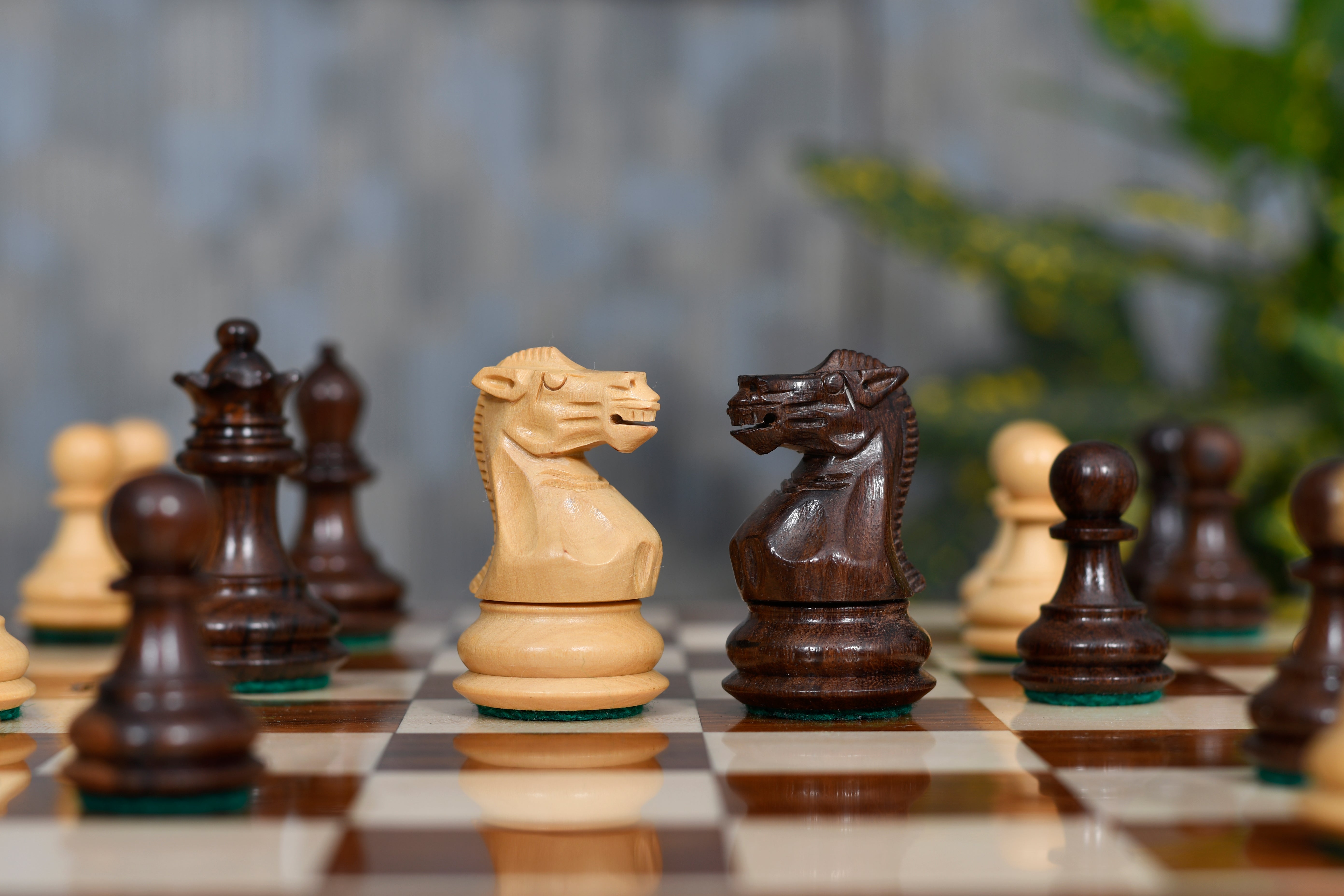 Polished sheesham Staunton chess pieces with two spare queens, 66mm king