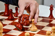 Full 34 piece American Bridle chess set in bud rosewood and boxwood, Sterling Chess Australia