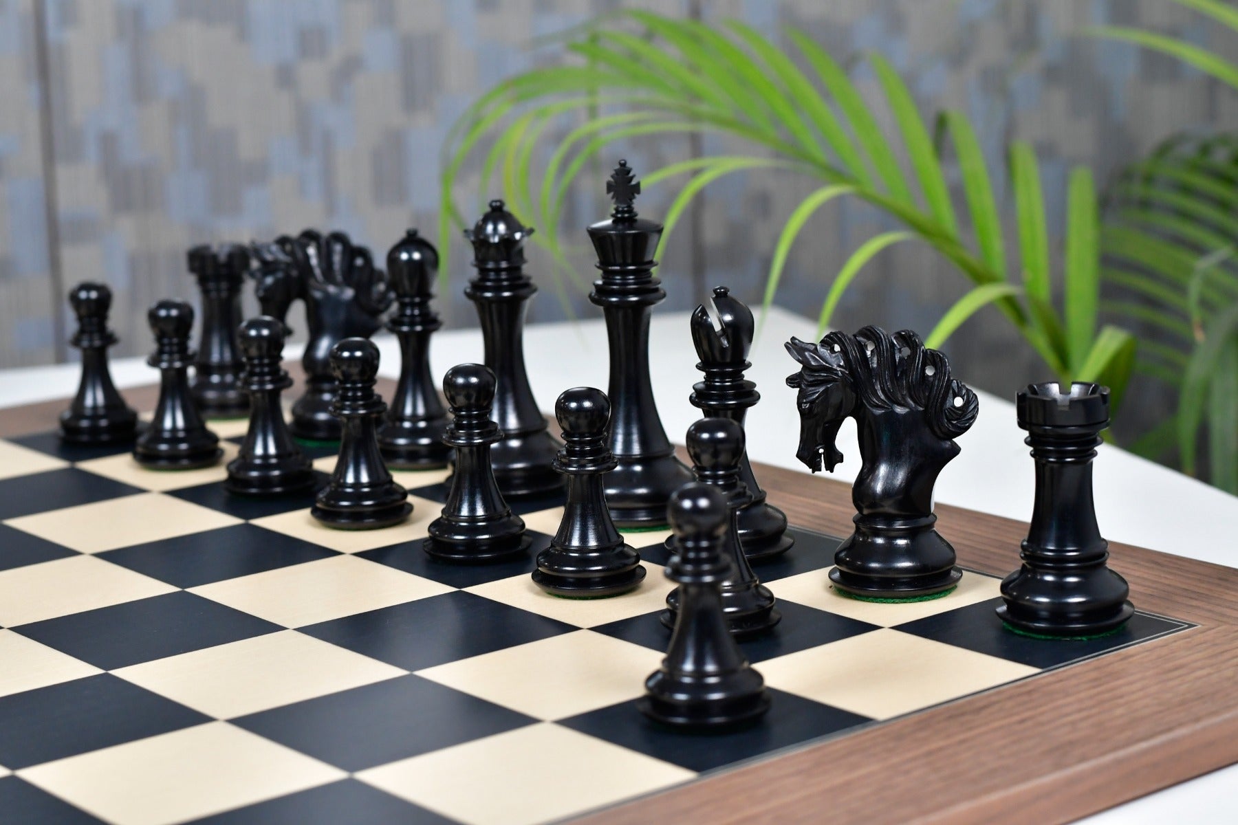 Pegasus V2.0 ebony set on 60mm squares, 60cm black dyed poplar and sycamore matte veneer board, Australia
