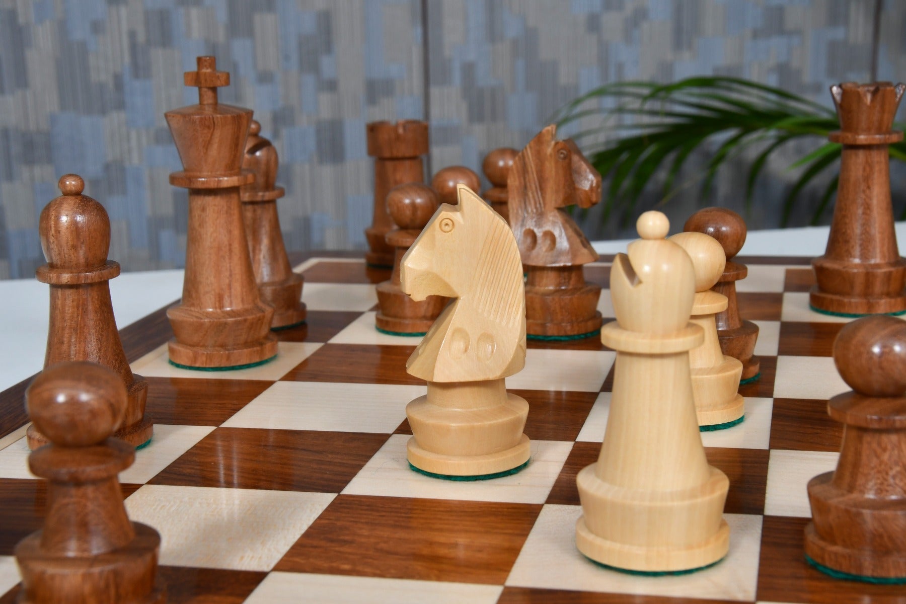 Full Championship Staunton chess set with its 48cm solid sheesham and maple board, from Sterling Chess