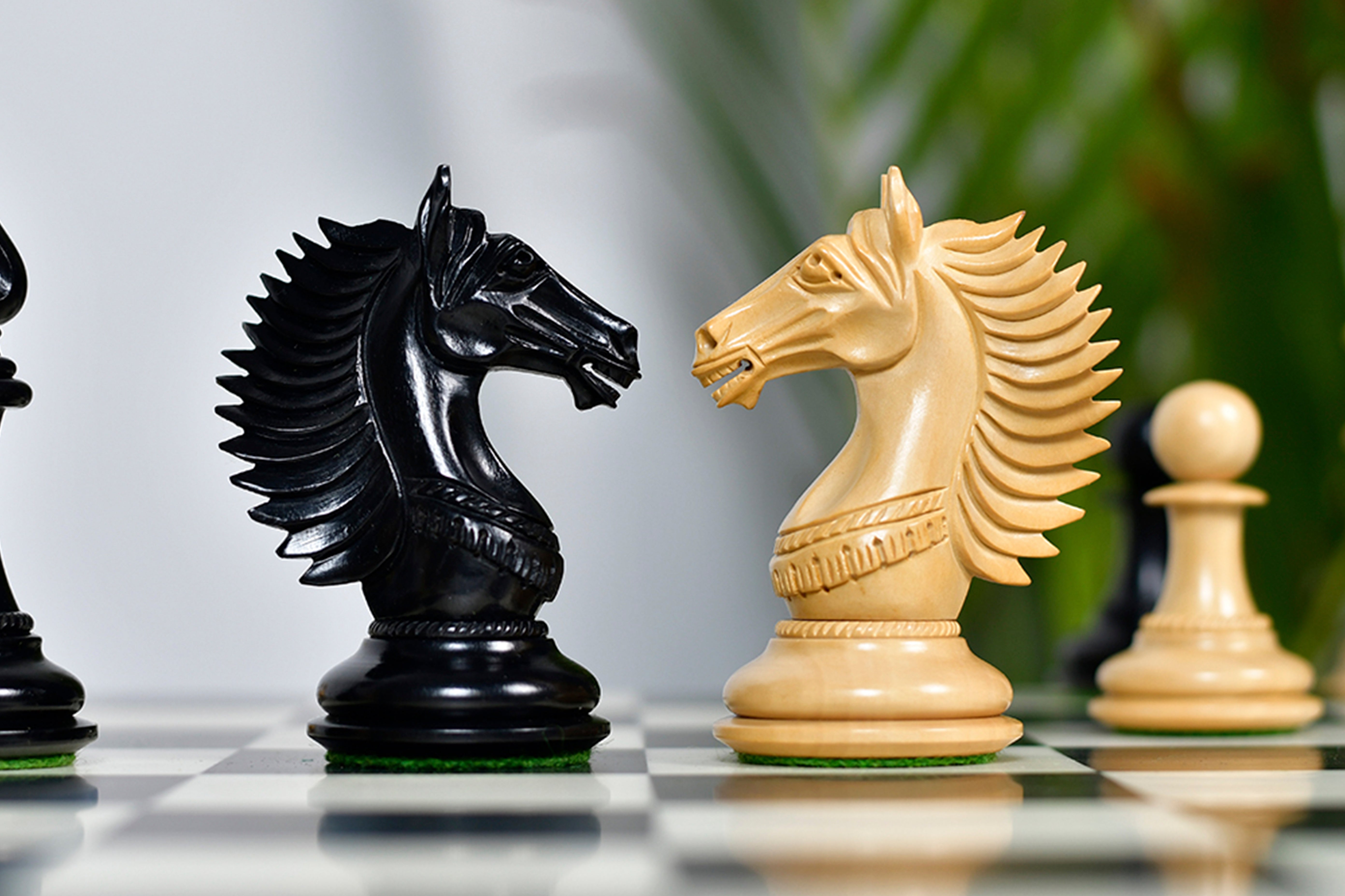 Knight carving detail on the CB Mustang Series chess pieces in genuine ebony and boxwood