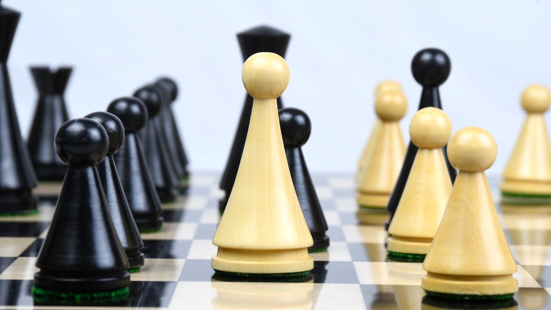 Full Classic Cone Shaped chess set with its 48cm ebony and maple board, Sterling Chess Australia