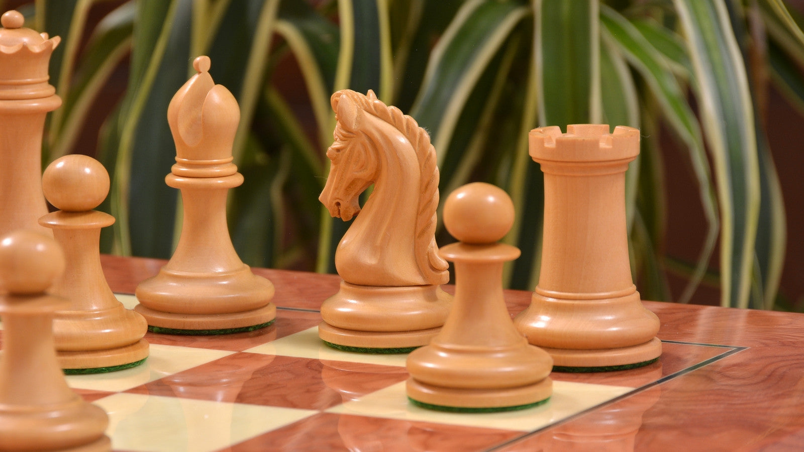 Bud rosewood chess pieces set up for play on the included 55cm red ash burl and maple board