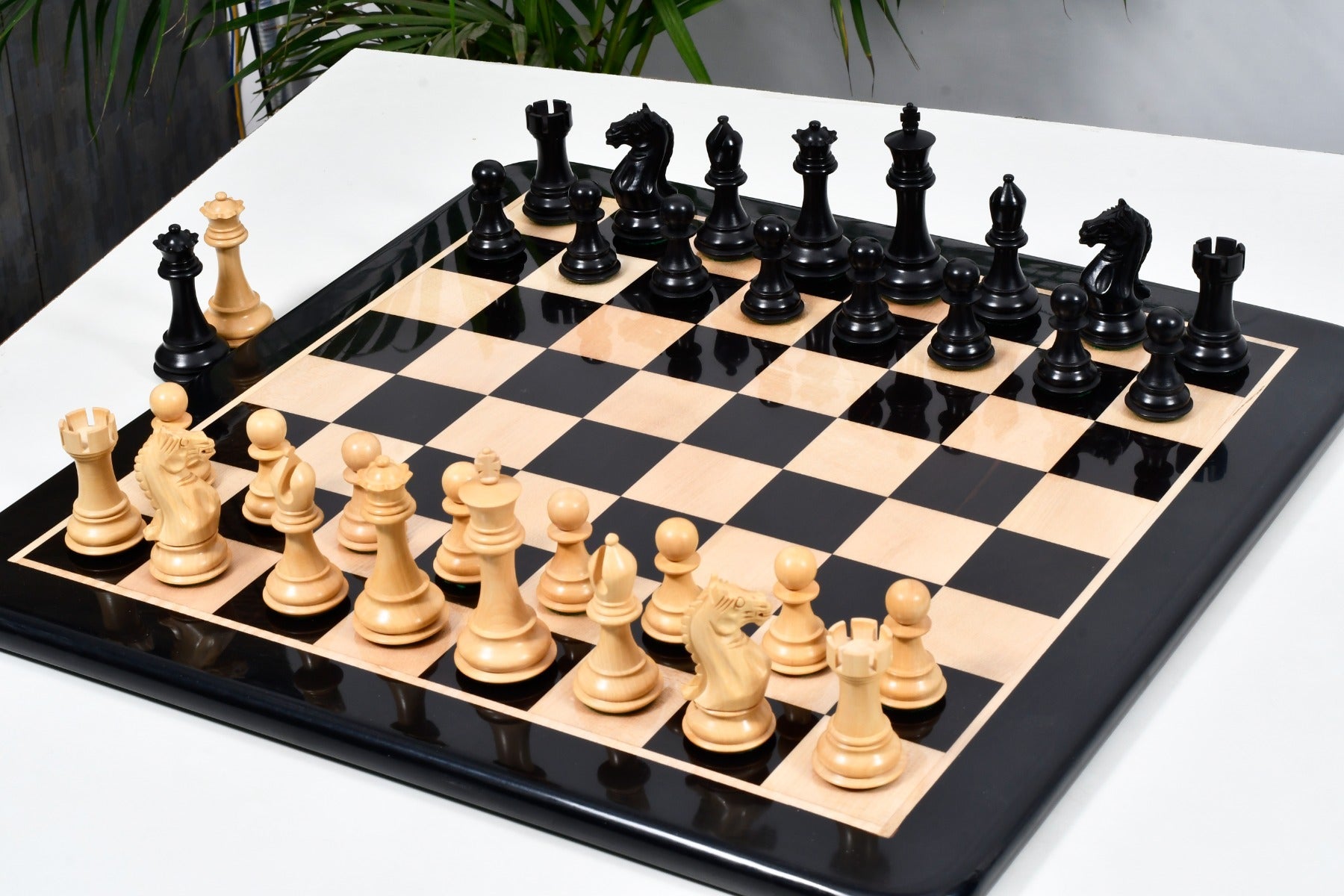 Fierce Knight Staunton chess pieces with a 103mm king in ebonised boxwood