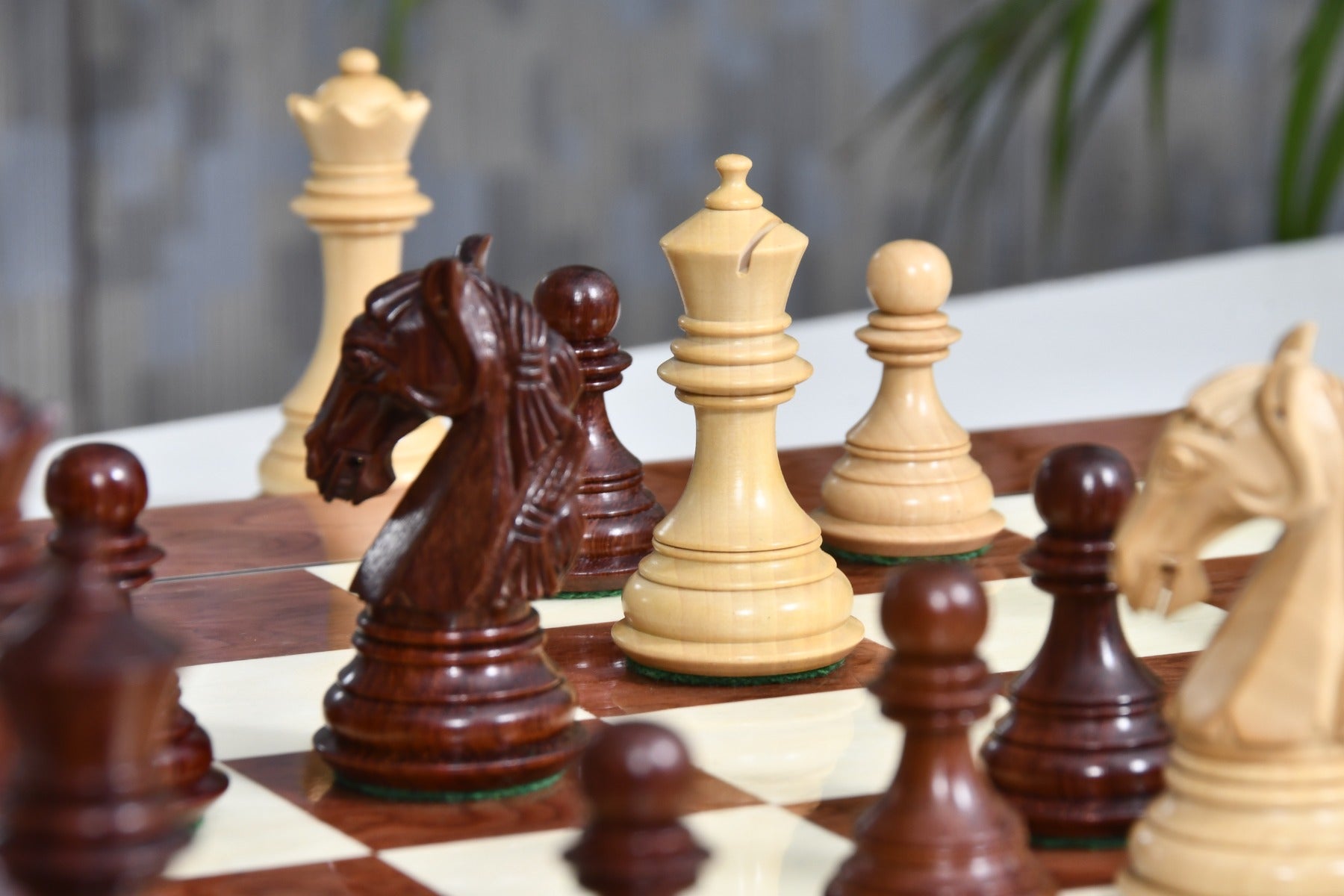 Bud rosewood chess pieces set up for play on the included 55cm red ash burl and maple board