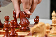 Full 34 piece GM Blitz Edition Staunton chess pieces in bud rosewood and boxwood, Sterling Chess Australia