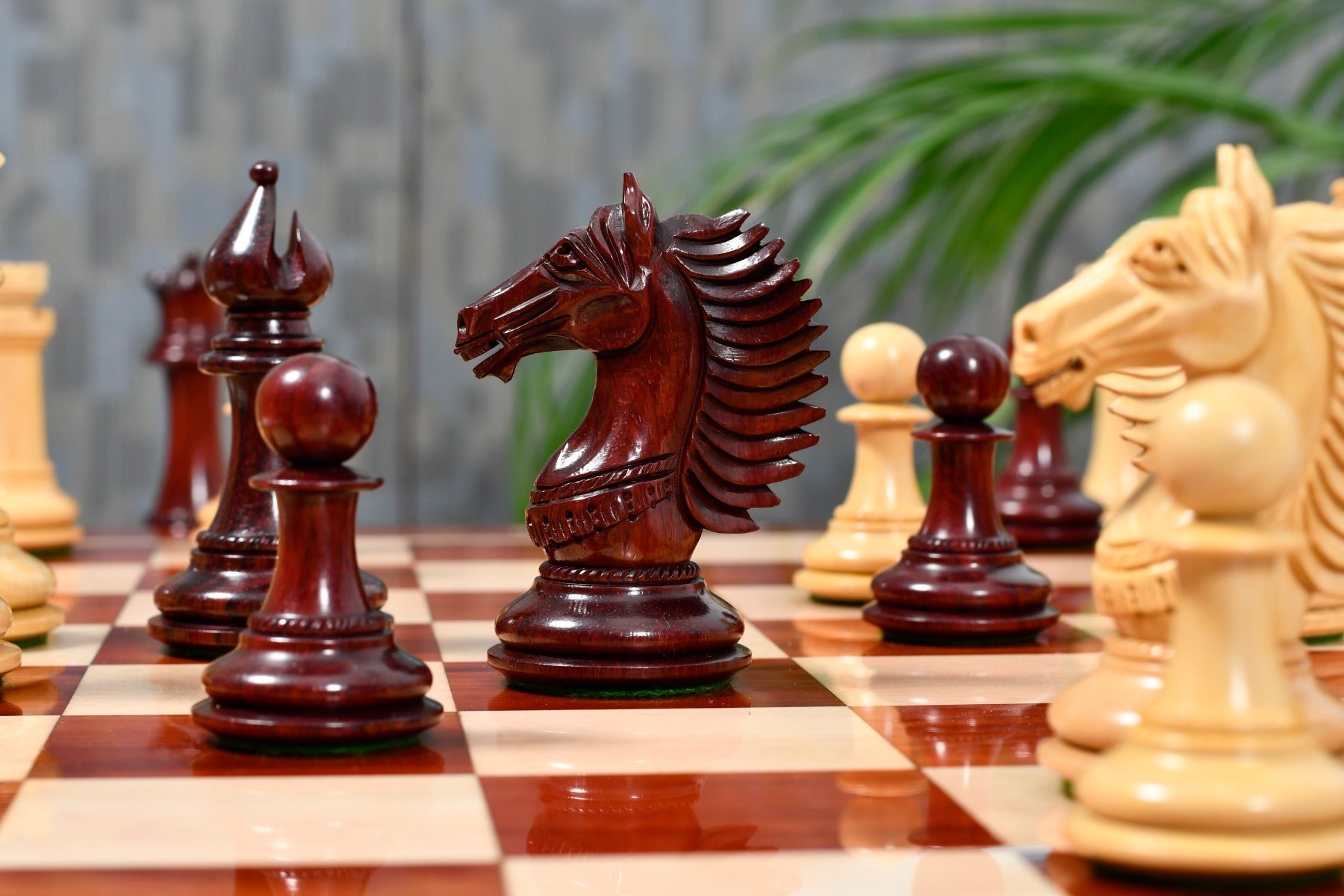CB Mustang Series chess set, bud rosewood and boxwood, hand carved in India