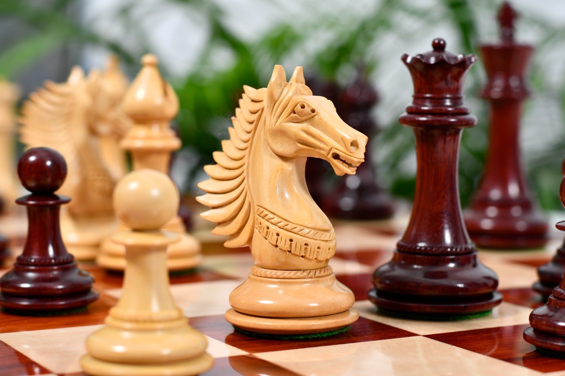 Full CB Mustang Series chess set with its 58cm bud rosewood and maple notation board, Sterling Chess Australia