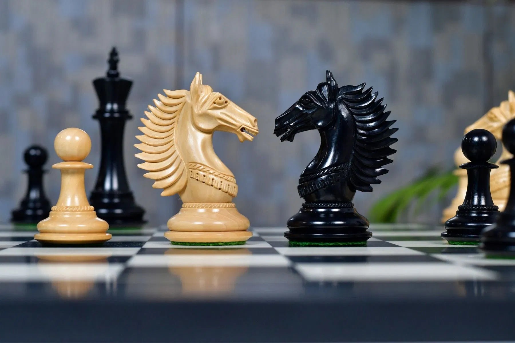 Chess Bazaar Mustang Series Chess Pieces (Ebony/Boxwood) With 60cm Black Anigre & Maple Chess Board
