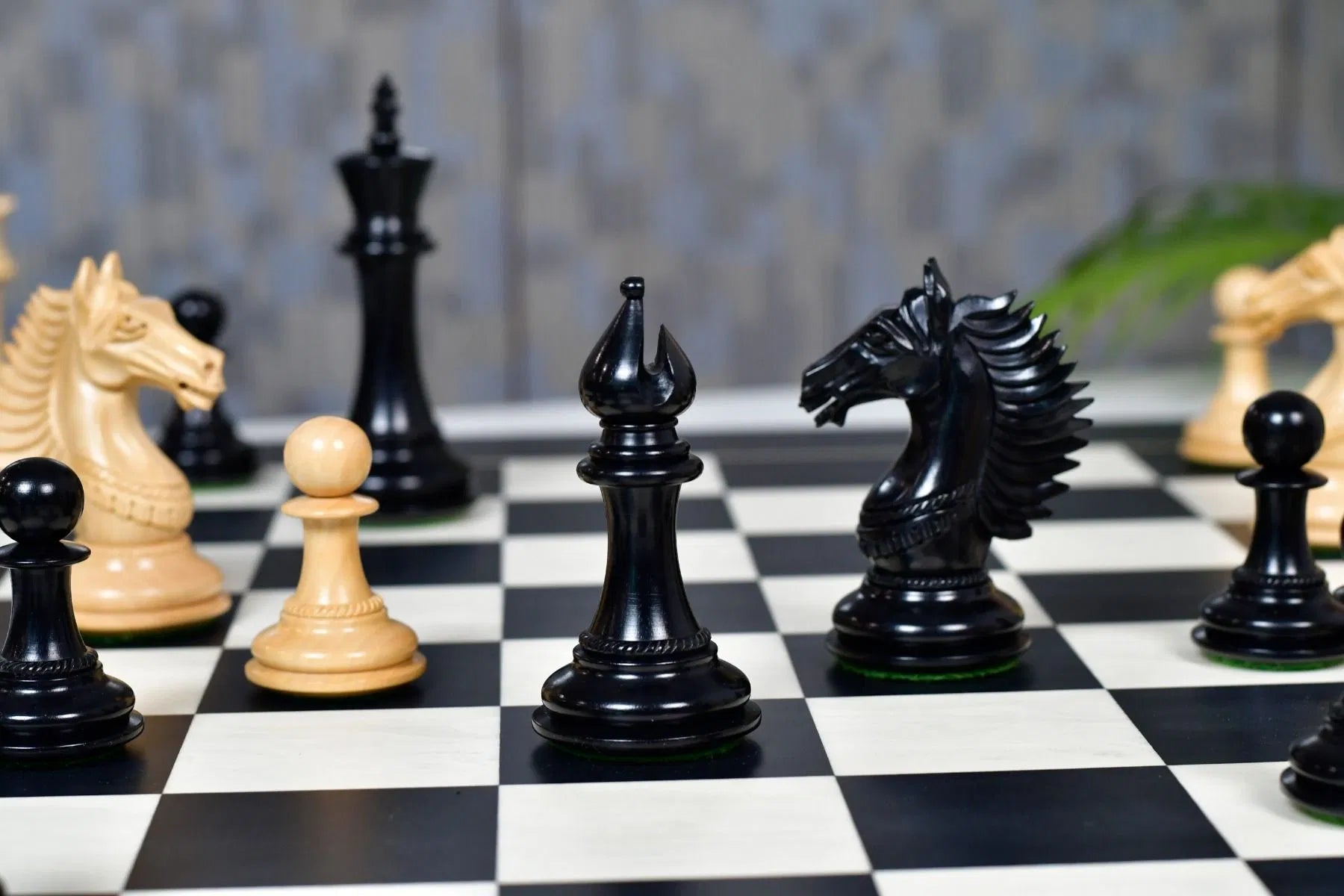 Chess Bazaar Mustang Series Chess Pieces (Ebony/Boxwood) With 60cm Black Anigre & Maple Chess Board