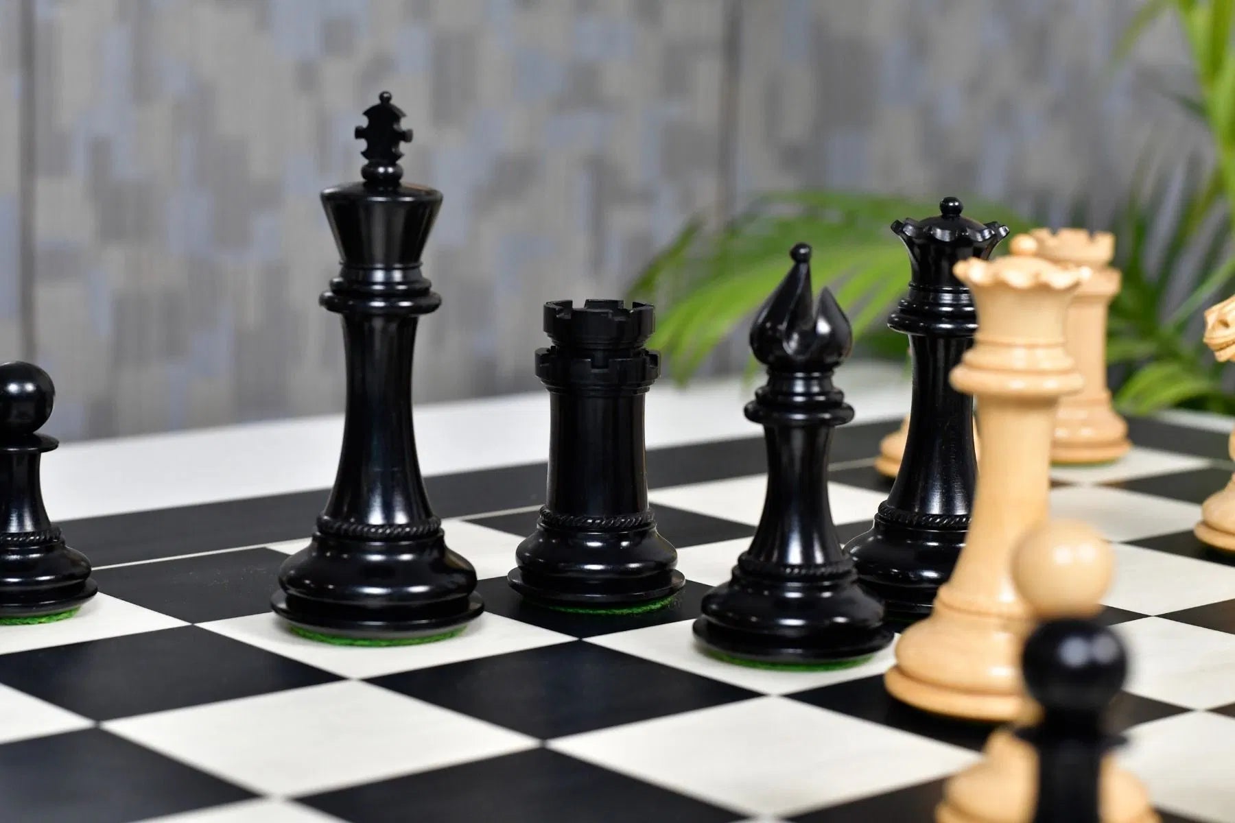 Chess Bazaar Mustang Series Chess Pieces (Ebony/Boxwood) With 60cm Black Anigre & Maple Chess Board