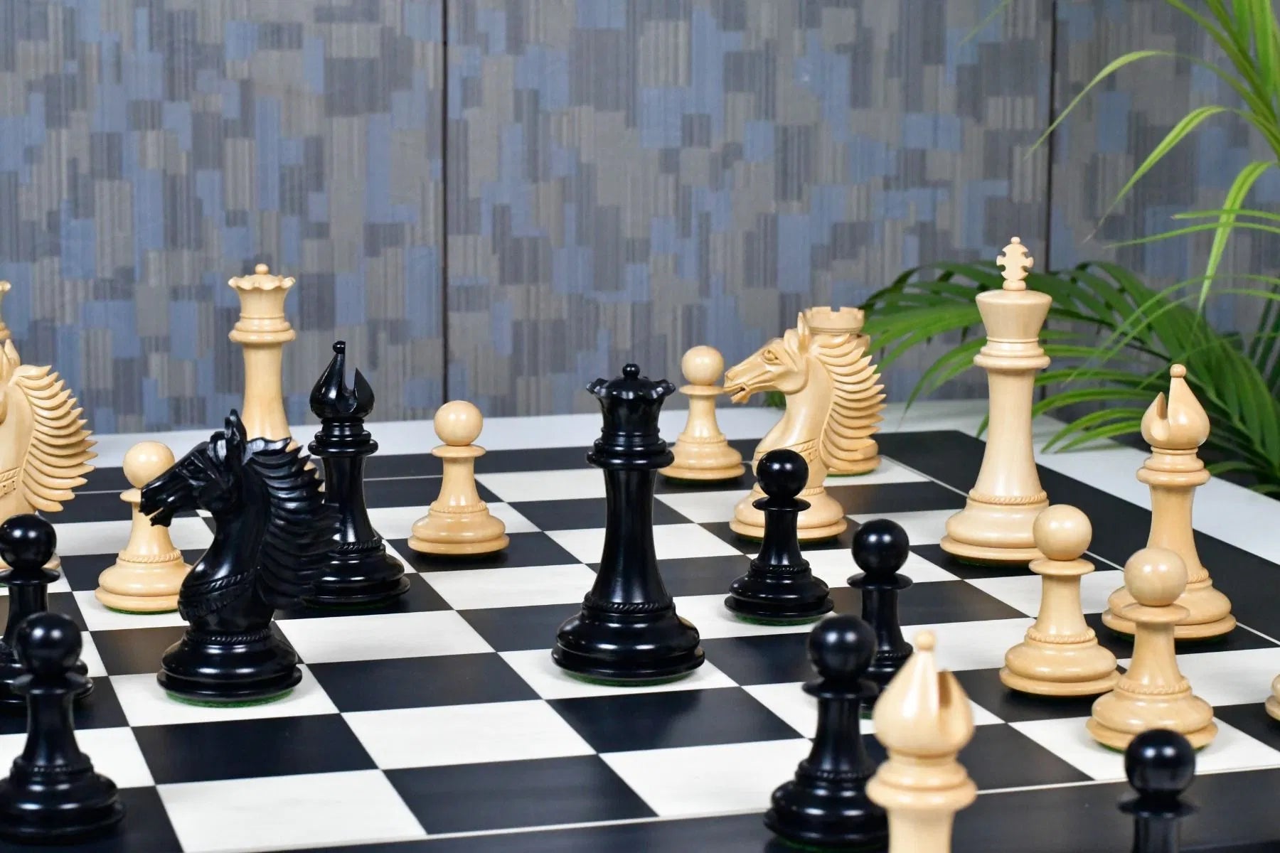 Chess Bazaar Mustang Series Chess Pieces (Ebony/Boxwood) With 60cm Black Anigre & Maple Chess Board