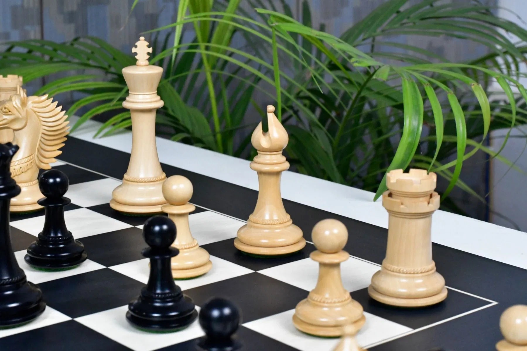 Chess Bazaar Mustang Series Chess Pieces (Ebony/Boxwood) With 60cm Black Anigre & Maple Chess Board