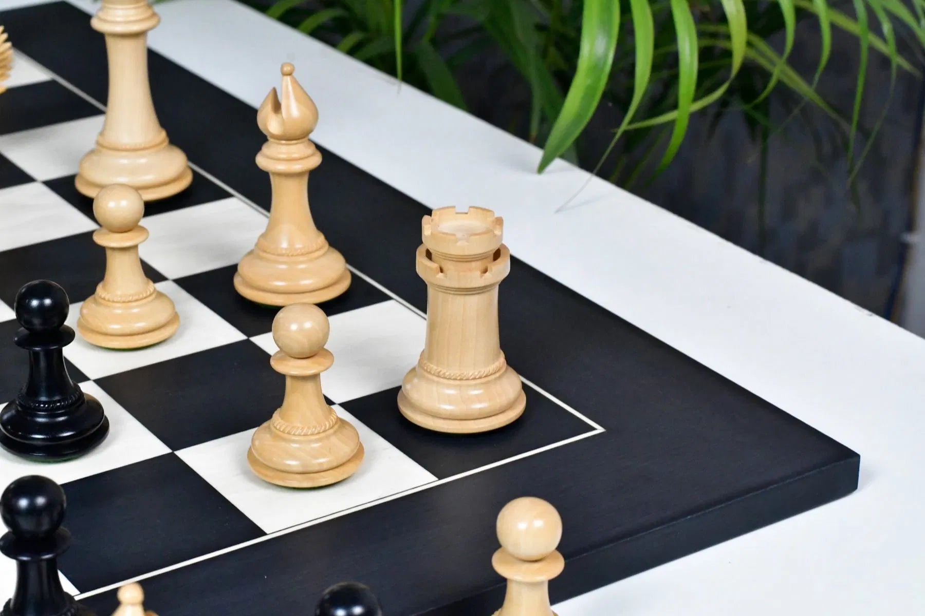 Chess Bazaar Mustang Series Chess Pieces (Ebony/Boxwood) With 60cm Black Anigre & Maple Chess Board