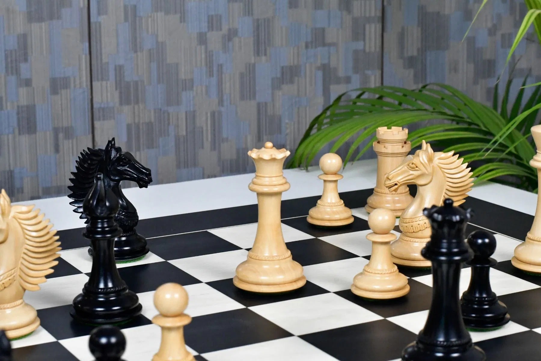 Chess Bazaar Mustang Series Chess Pieces (Ebony/Boxwood) With 60cm Black Anigre & Maple Chess Board