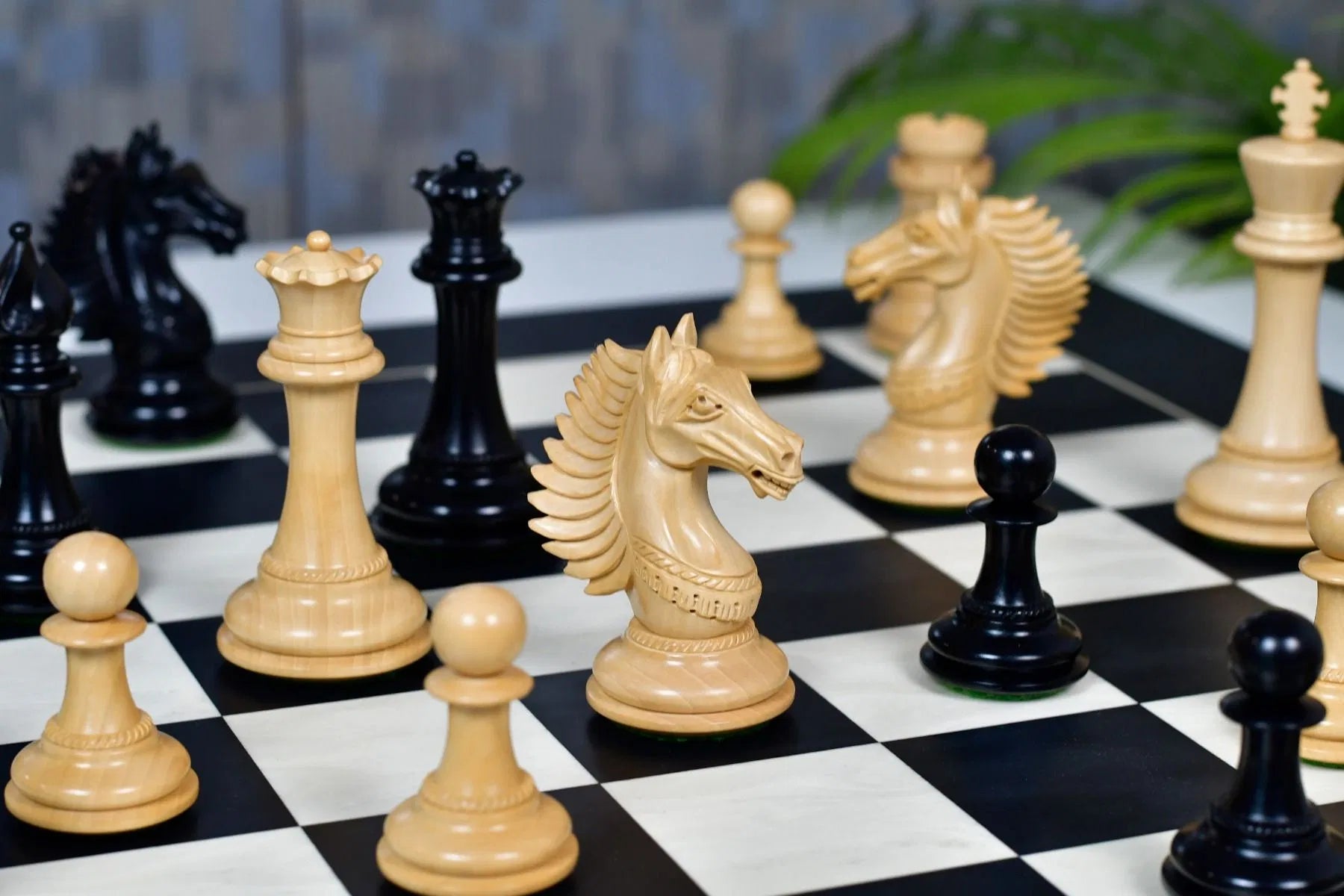 Chess Bazaar Mustang Series Chess Pieces (Ebony/Boxwood) With 60cm Black Anigre & Maple Chess Board