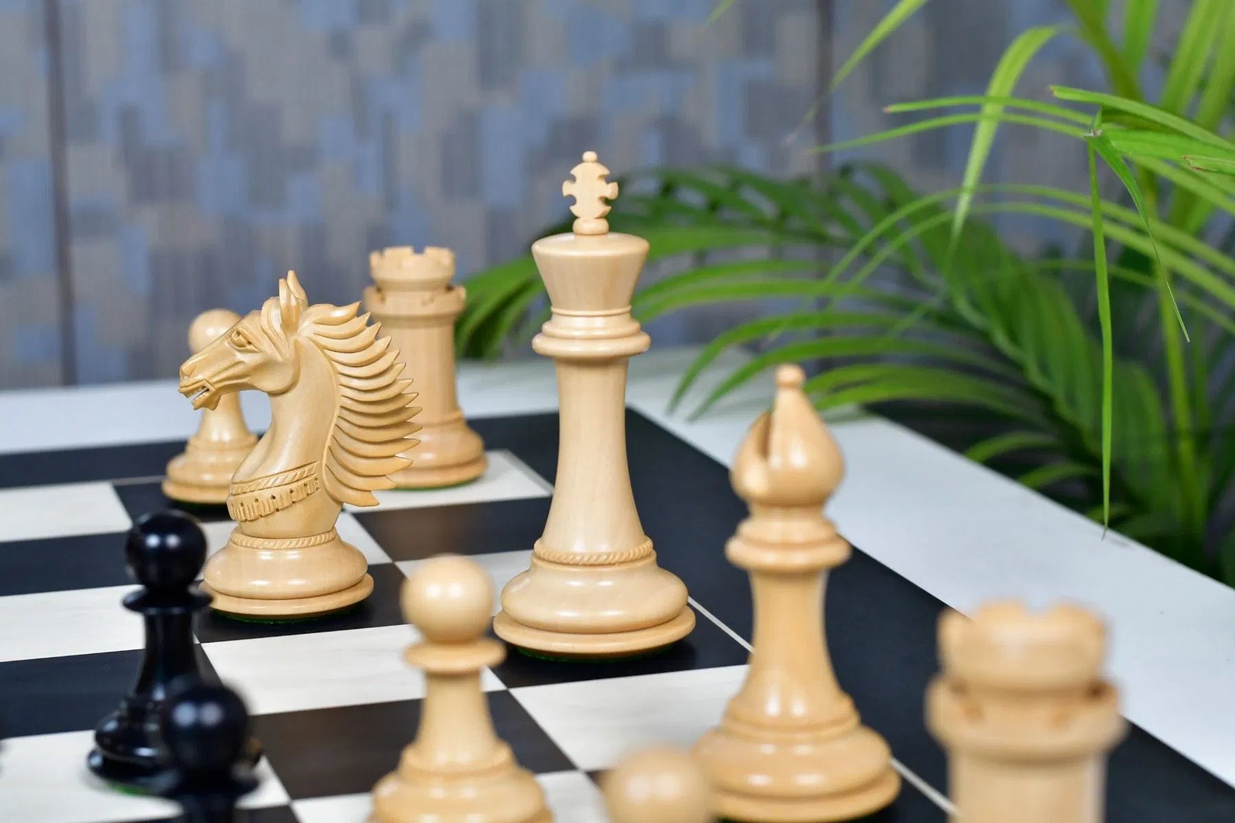 Chess Bazaar Mustang Series Chess Pieces (Ebony/Boxwood) With 60cm Black Anigre & Maple Chess Board