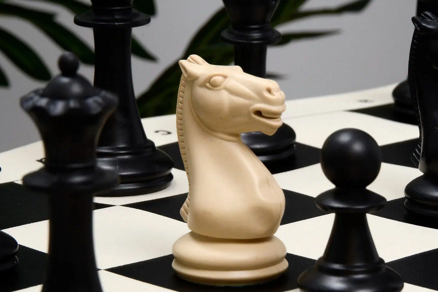 Tournament plastic chess set with the board rolled for transport