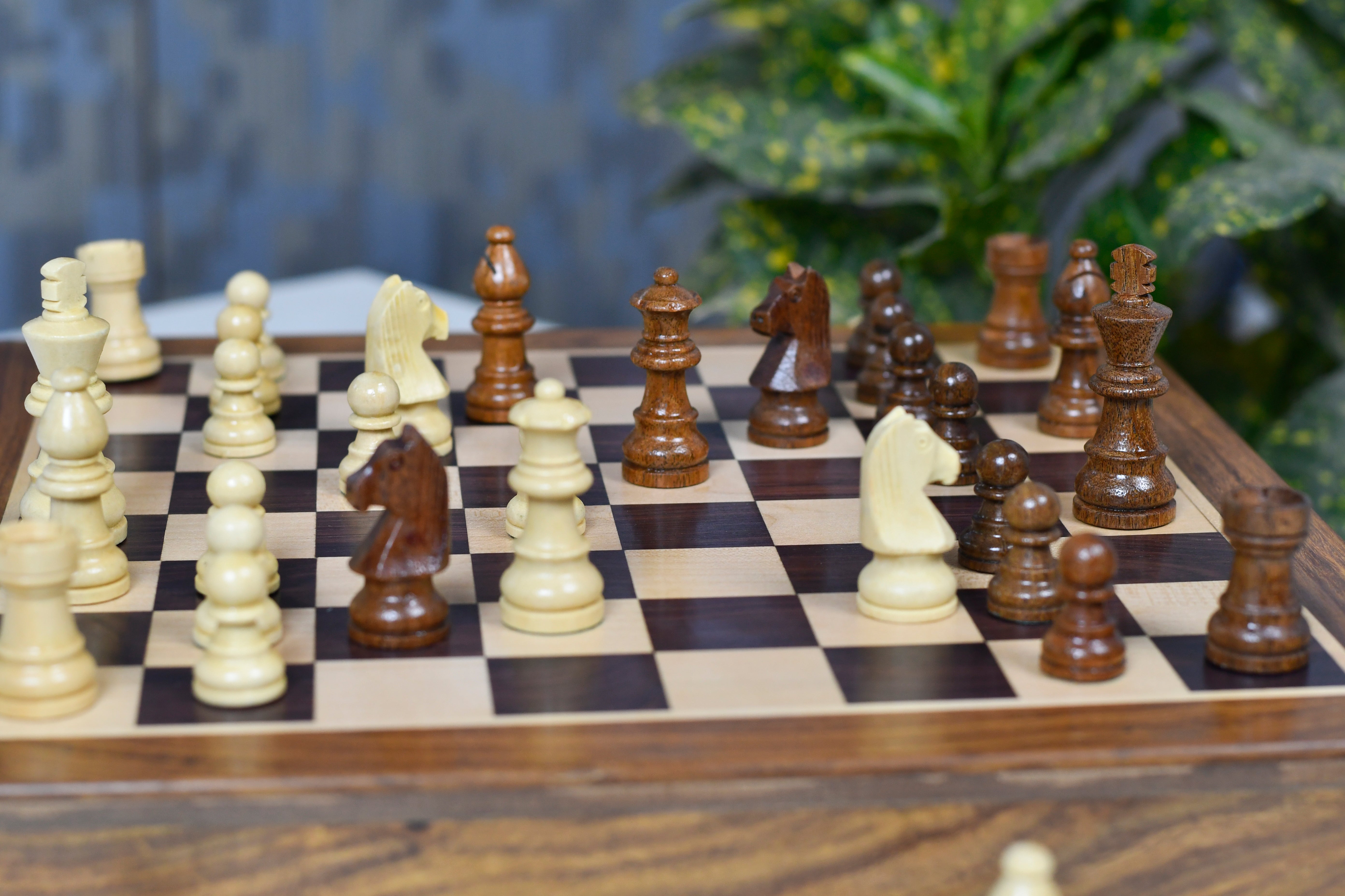 Knight profile on the 12 Inch Magnetic Travel chess set in rosewood and boxwood