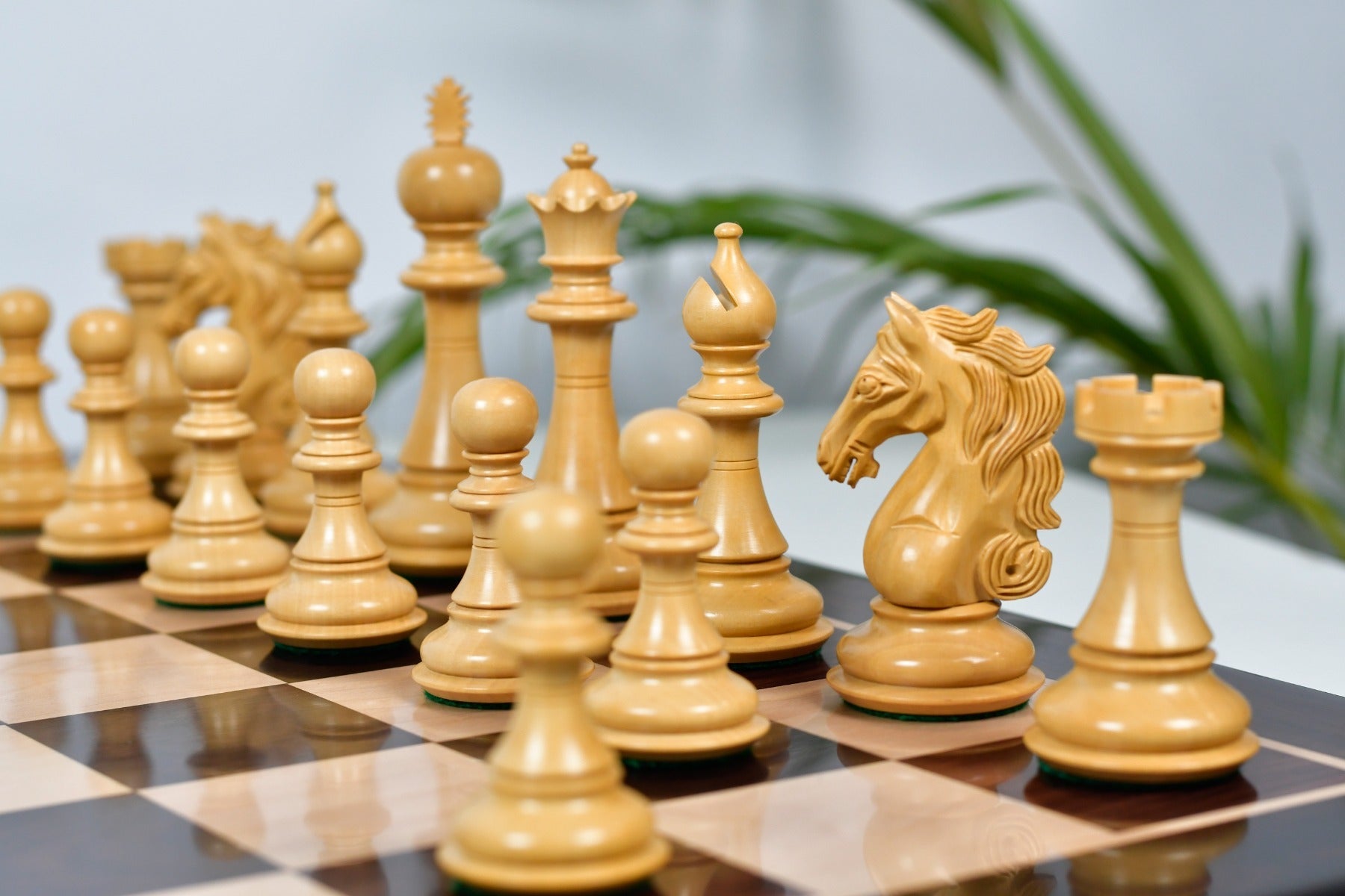 Hand carved knight detail on the Shera Series Staunton V2.0 Rosewood chess pieces