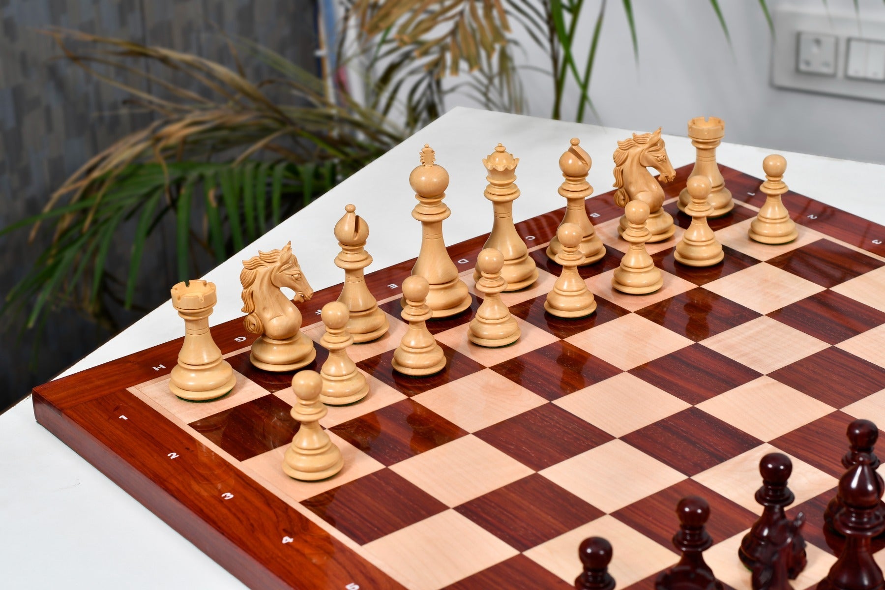 Hand carved knight detail on the Shera Series Staunton V2.0 Bud Rosewood chess pieces